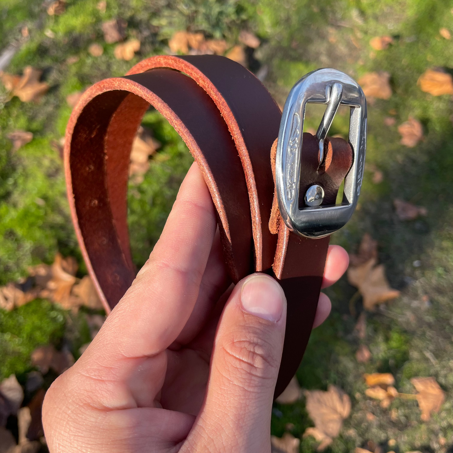 Women’s Rodeo Belt-Alaska Brown